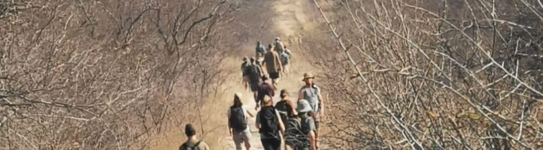 Siyafunda Wildlife & Conservation