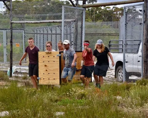 ethical-lion-sanctuary-volunteer-south-africa